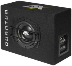 ESX QSB6 - 16,5cm Gehäusesubwoofer